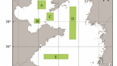 A Spatiotemporal Interactive Processing Bias Correction Method for Operational Ocean Wave Forecasts featured image