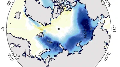Factors Contributing to Rapid Decline of Arctic Sea Ice in Autumn featured image