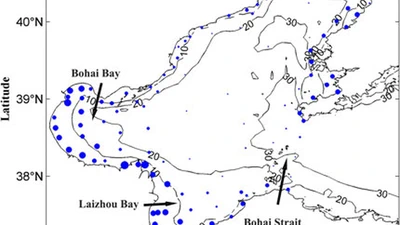 Improvement of the Ocean Pollutant Transport Model by Using the Surface Spline Interpolation featured image