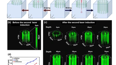 Nonlocal erasing and writing of ferroelectric domains using a femtosecond laser in lithium niobate featured image
