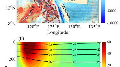 The Reliable Sampling Interval for Monitoring Interannual Variability of the Kuroshio Transport at 18°N featured image