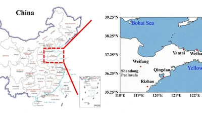 A New Hybrid Deep Sequence Model for Decomposing, Interpreting, and Predicting Sulfur Dioxide Decline in Coastal Cities of Northern China featured image