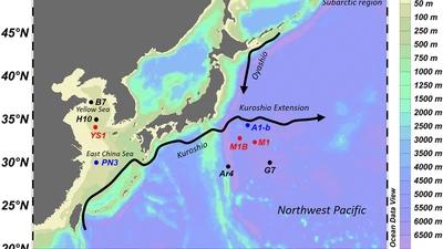 Fertilization of the Northwest Pacific Ocean by East Asia Air Pollutants featured image