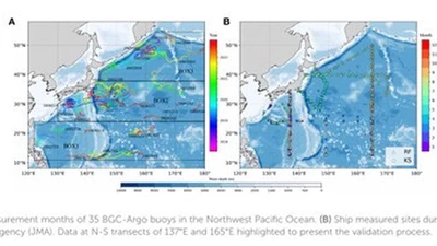 Evolution of 3-D Chlorophyll in the Northwestern Pacific Ocean Using a Gaussian-activation Deep Neural Network Model featured image