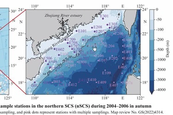 Hydrographic Control on Subsurface Chlorophyll Maximum in the Northern South China Sea in Autumn